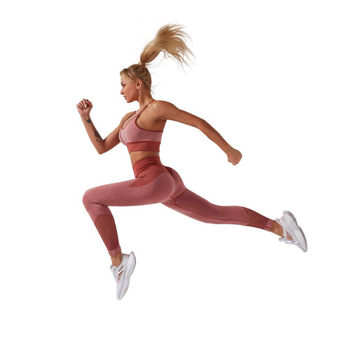 Seamless Fitness Yoga Pant & Top